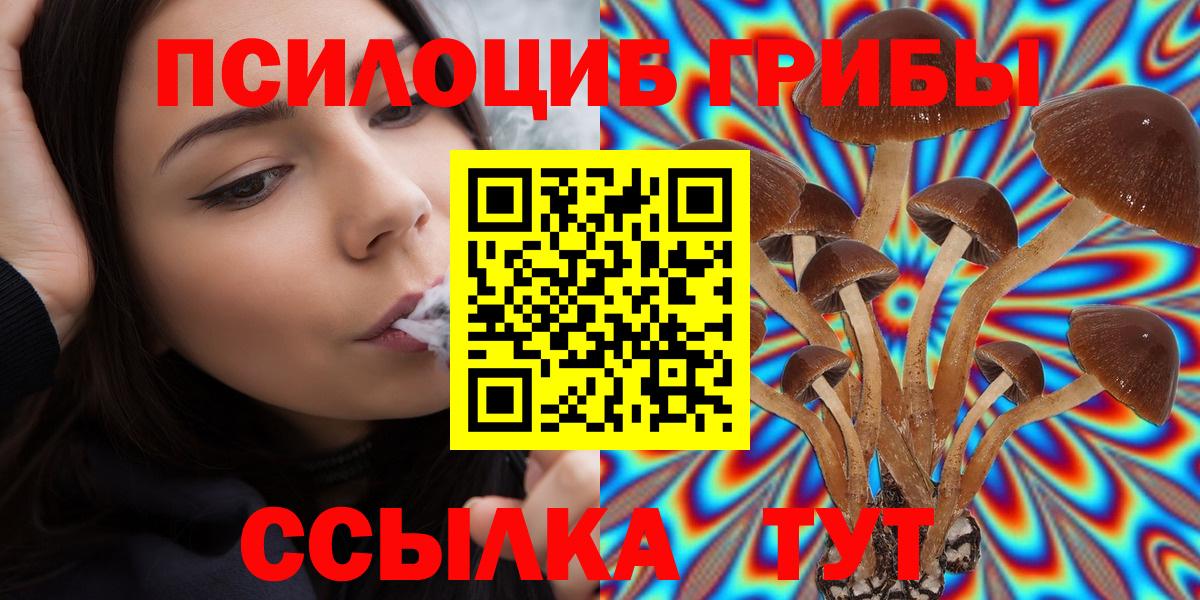 Псилоцибиновые грибы ЛСД  Галлюциногенные грибы Cubensis  Орёл  Вход с VPN 